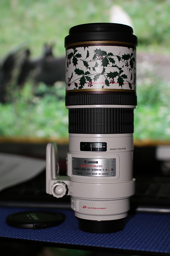 Canon EF 300mm F4 IS USM L [開箱、實拍、心得] - 原廠鏡頭資訊