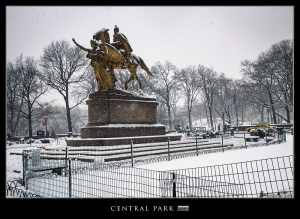 ::: Winter in Central Park 中央公園冬景 by DV :::