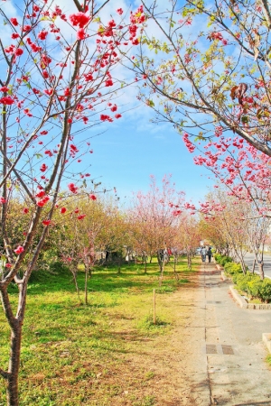 新社區公所&新社莊園