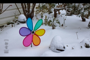 ::: First Snow Storm 2012 紐約初雪 (Part 2) :::