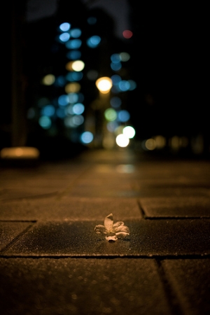 雨夜的心情