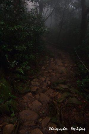 新竹飛鳳山~霧裡探楓