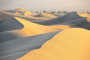 沒有天空的風景照：Mesquite Flat Dunes, Death Valley National Park