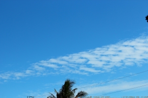 藍天白雲  黑色貓兒  美麗夕陽    ( 最後一張壓軸XD )