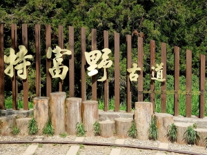 特富野古道