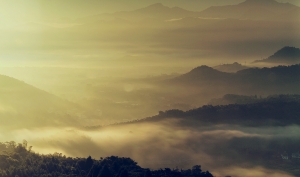 雲漫金龍山