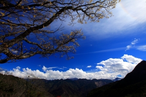 雪霸農場［六］－觀霧山莊與觀霧森林