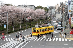 2015東京和郊區自助旅行 (荒川電鐵之旅 飛鳥山公園) DAY 7 上