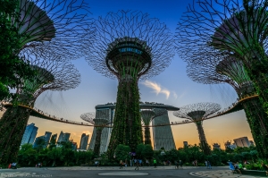 Gardens by the Bay, Singapore (2014)