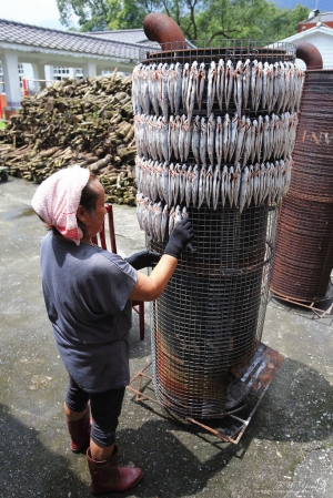 宜蘭 東澳烤飛魚