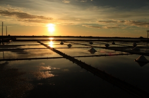 新手~~瓦盤鹽田 及 蚵棚 夕照~~  請大大指導