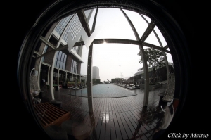 fisheye in life