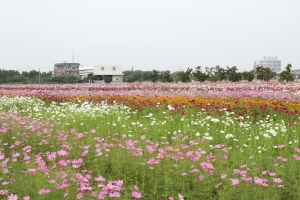 2012年花田喜事‧彩虹橋頭