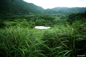 陽明山閒晃