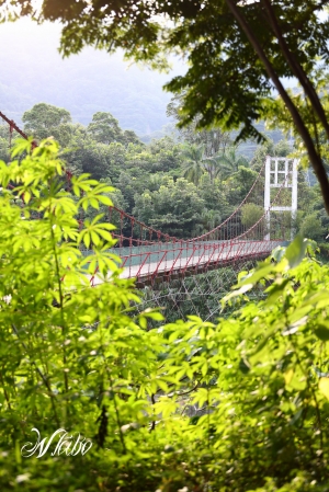 迷路記-桶頭社區