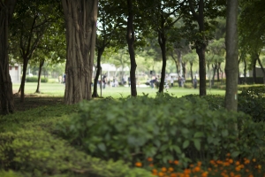 滿滿休閒的午後大安森林公園