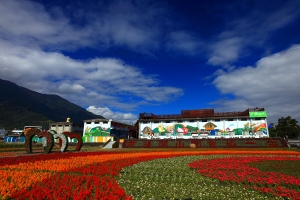 花東縱谷大地畫布－關山花海