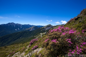 合歡北峰-小溪營地