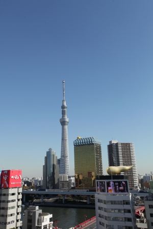 [2013日本行][之四] 漫步隅田川看天空樹