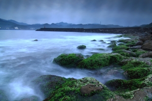 悲劇一張流...海岸線