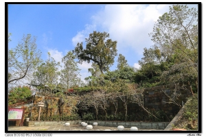 台南紅葉公園隨拍