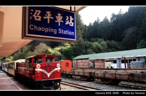 阿里山。吉野櫻。小火車