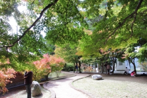 松盧。雨